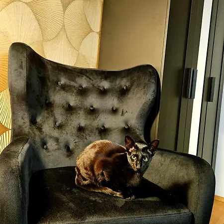Saaund Apartamento