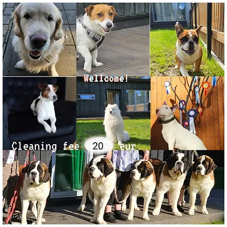 アパート Saaund *